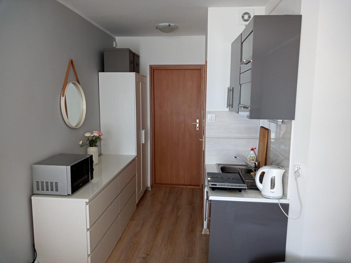 Apartament U Muzykow Krynica Morska Exteriér fotografie